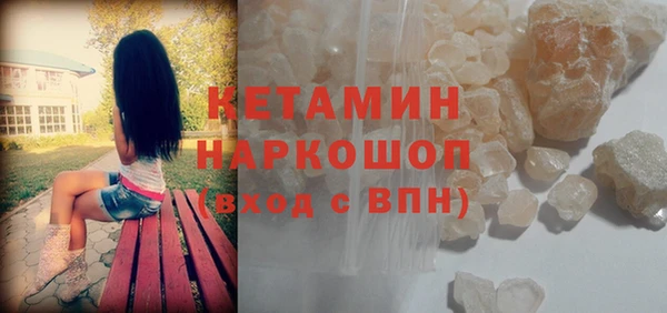 индика Осинники