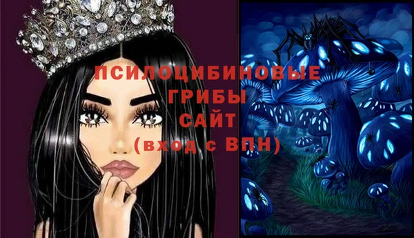 apvp Арсеньев