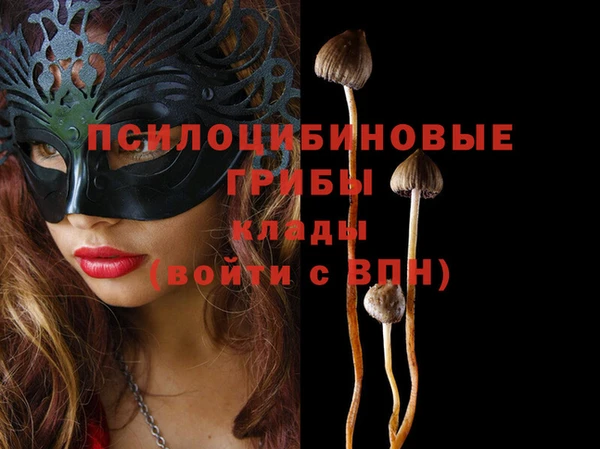 марки nbome Аркадак