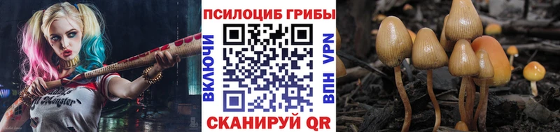 Галлюциногенные грибы прущие грибы  где можно купить наркотик  Пошехонье 